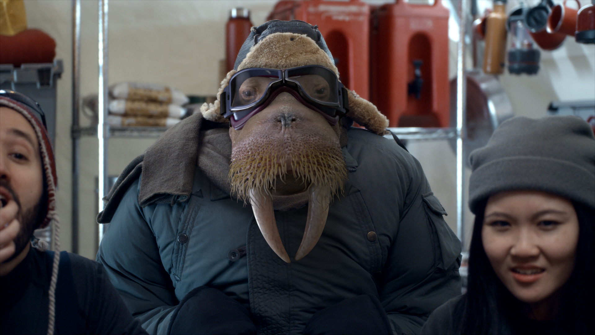 Dish network - Walrus