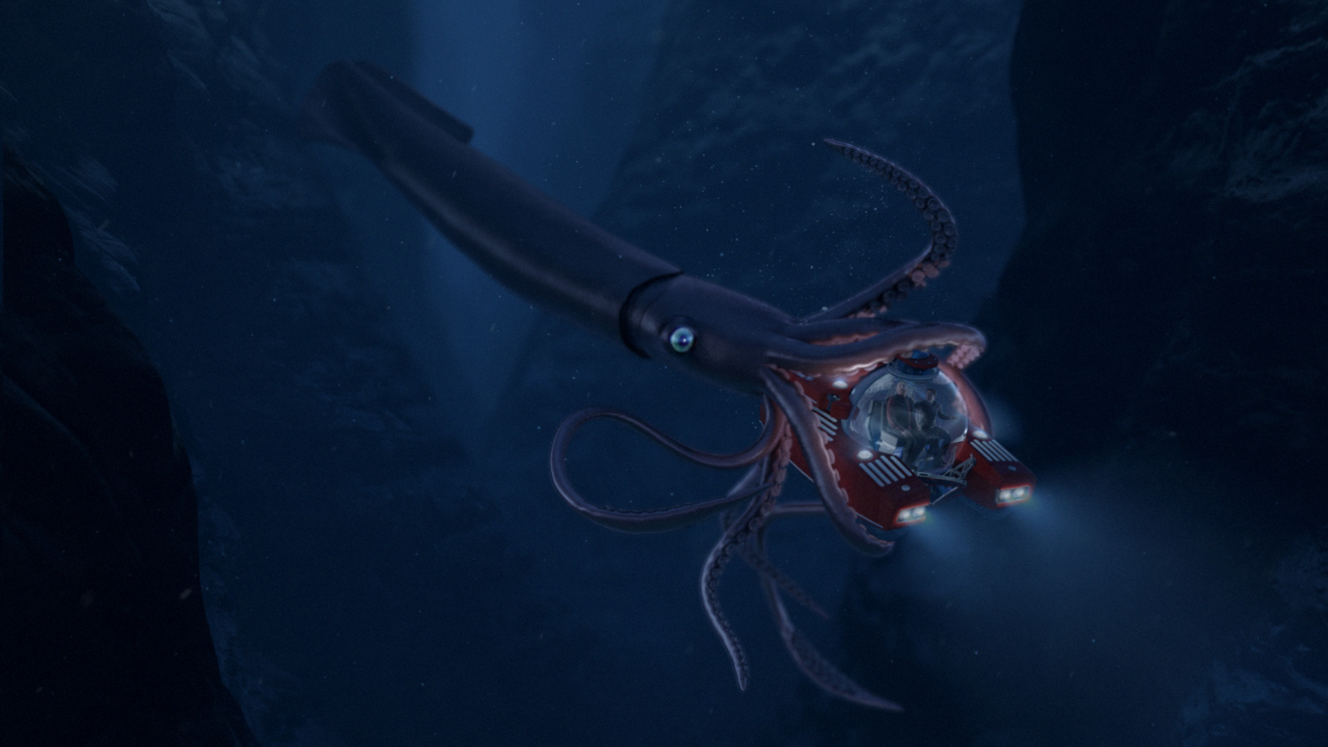 Dish network - Giant squid